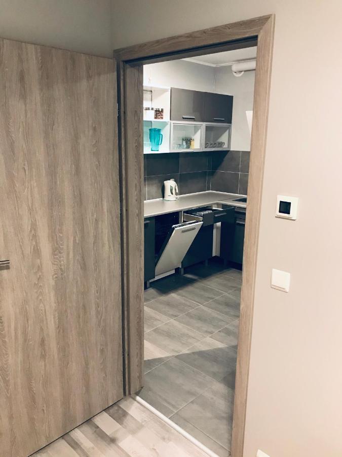 Apartment C18 Jelenia Gora