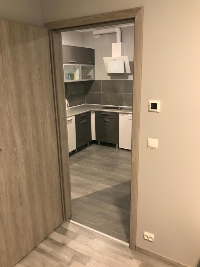 Apartment C18 Jelenia Gora