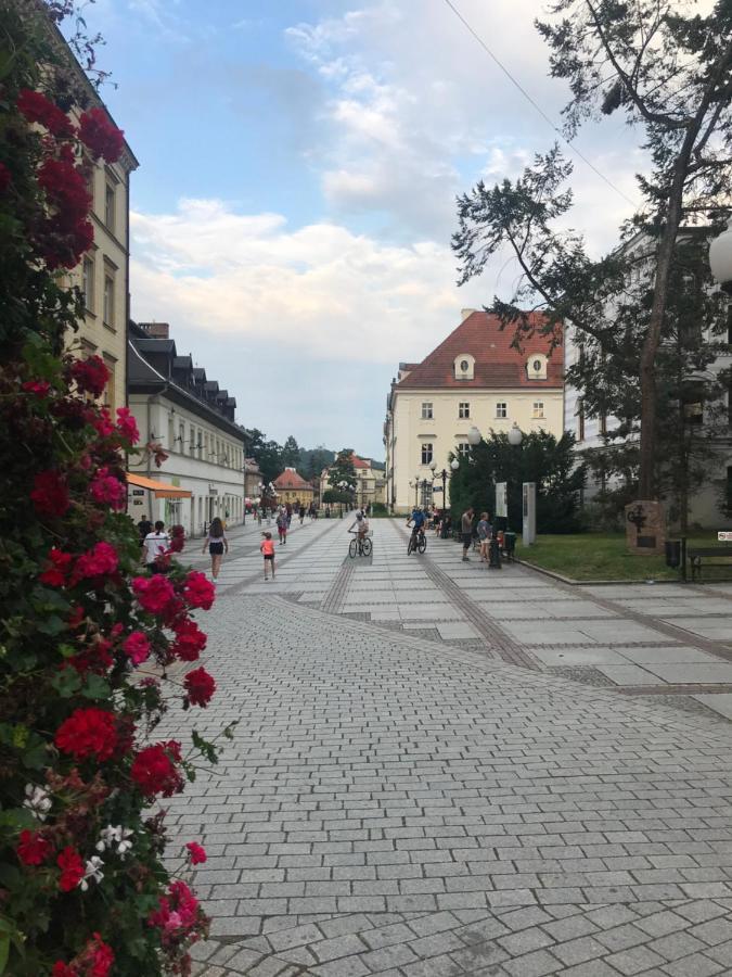 C18 Appartamento Jelenia Góra